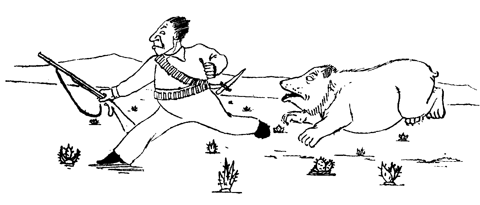 [Illustration]
