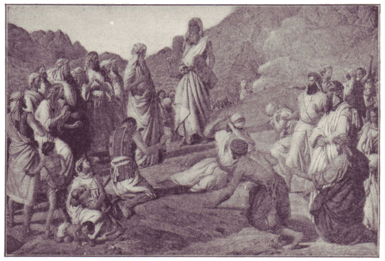 [Illustration]