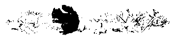 [Illustration]