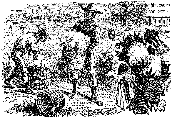 [Illustration]