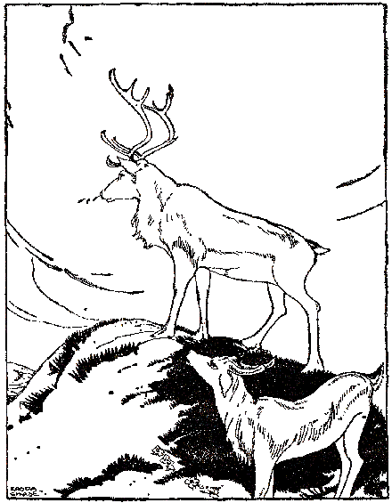 [Illustration]