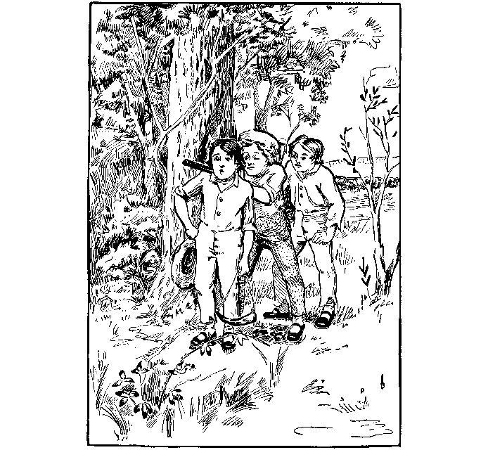 [Illustration]