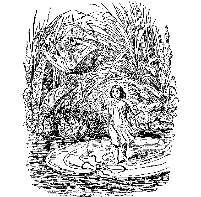 [Illustration]