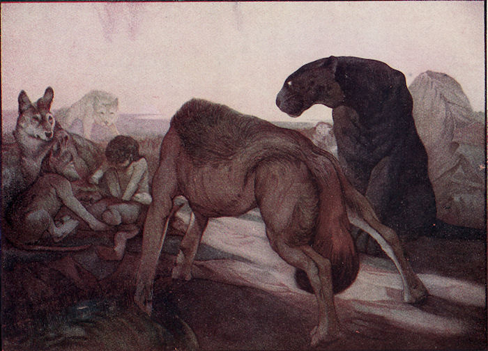 [Illustration]