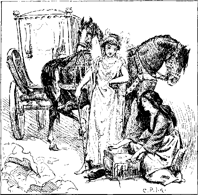 [Illustration]