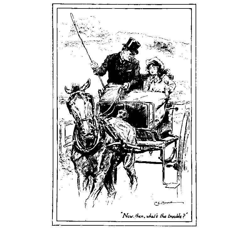 [Illustration]