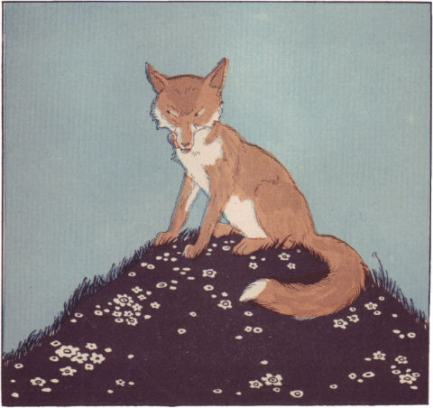 [Illustration]