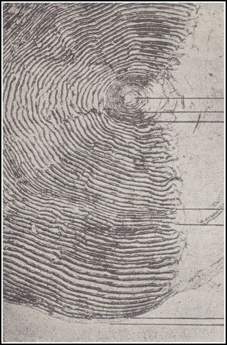 [Illustration]