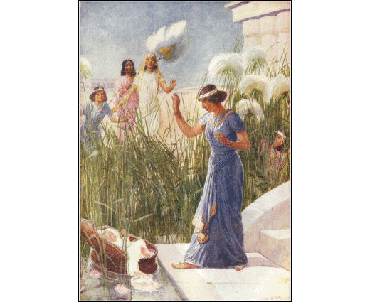 [Illustration]