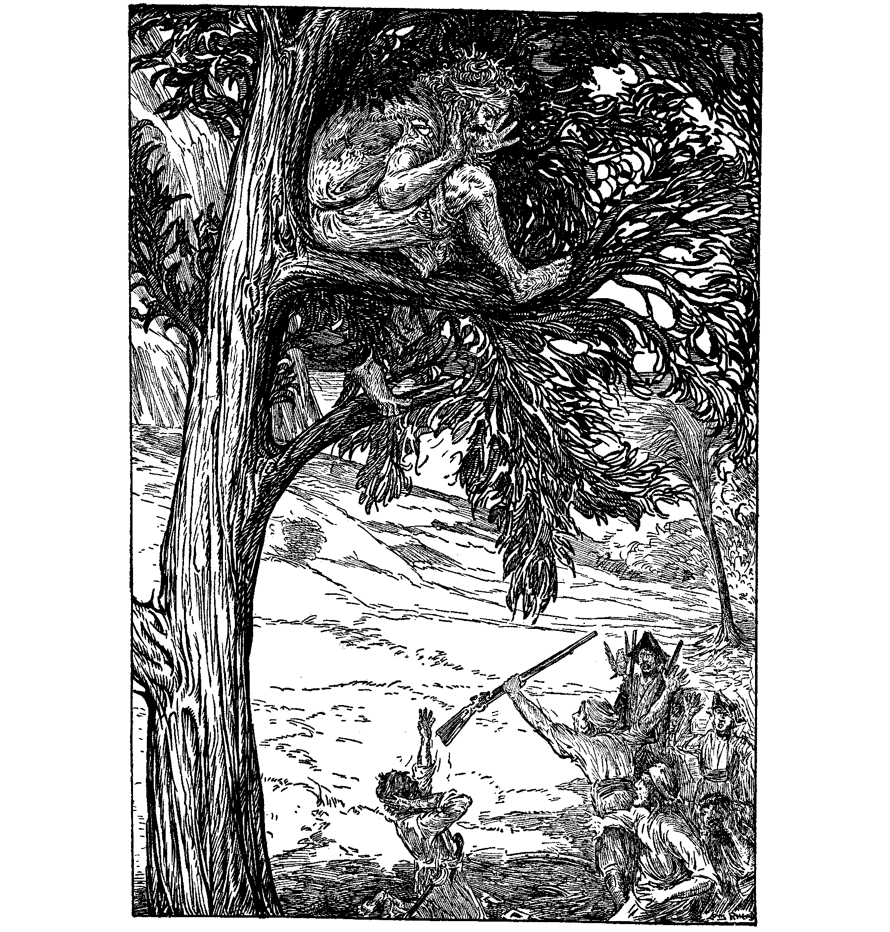 [Illustration]