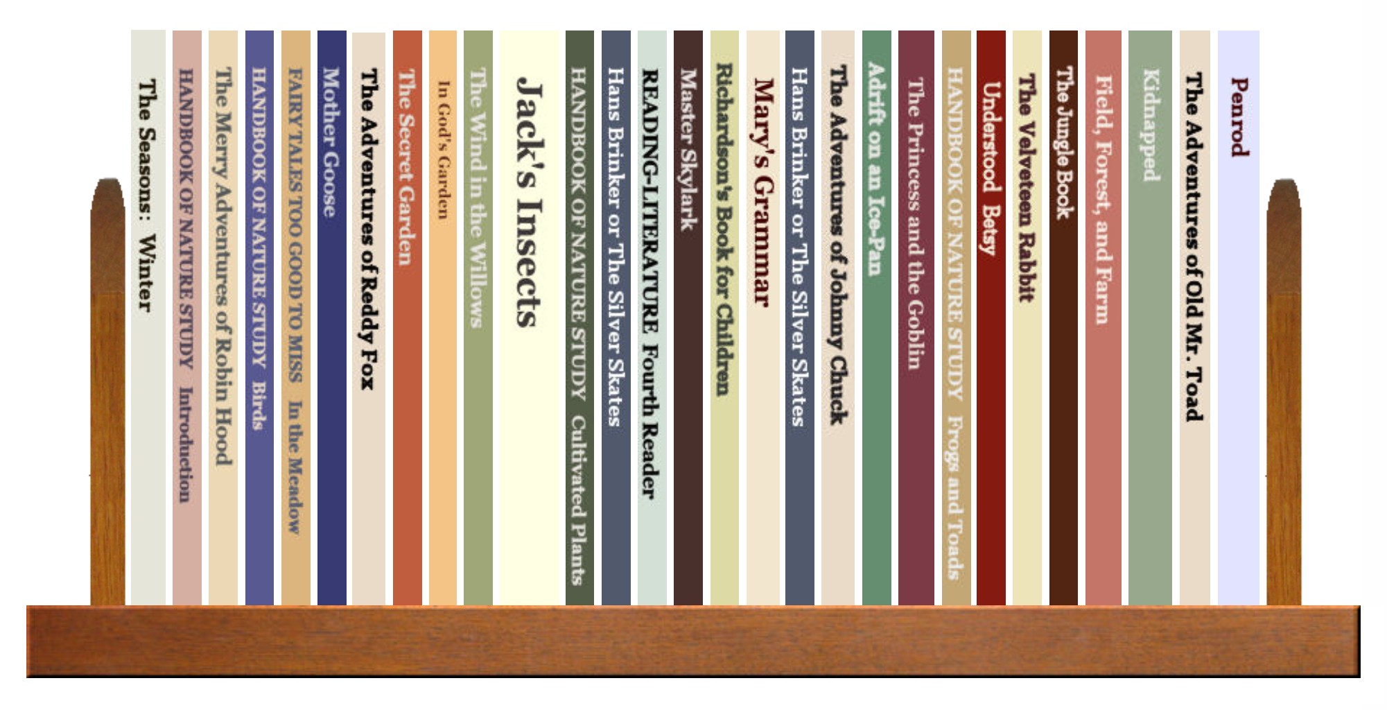 Full Shelf of Books, 1 of 4