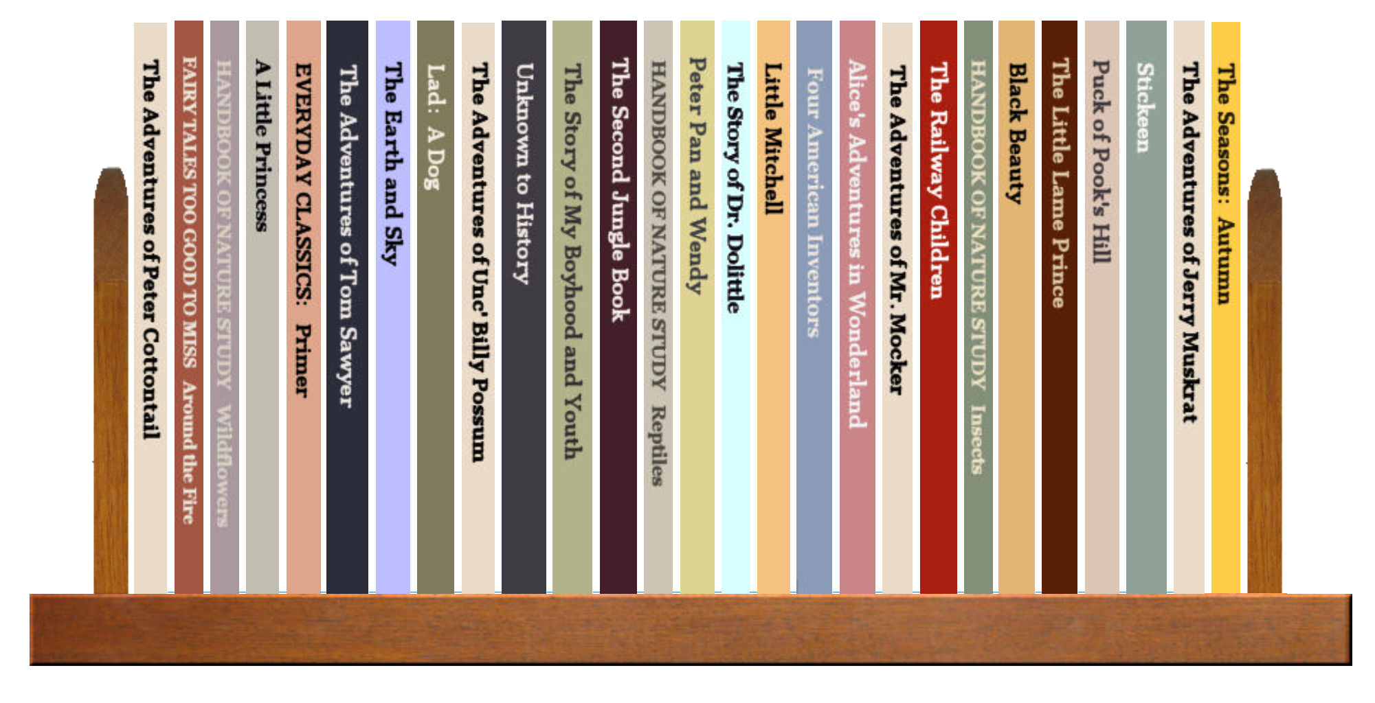 Full Shelf of Books, 2 of 4