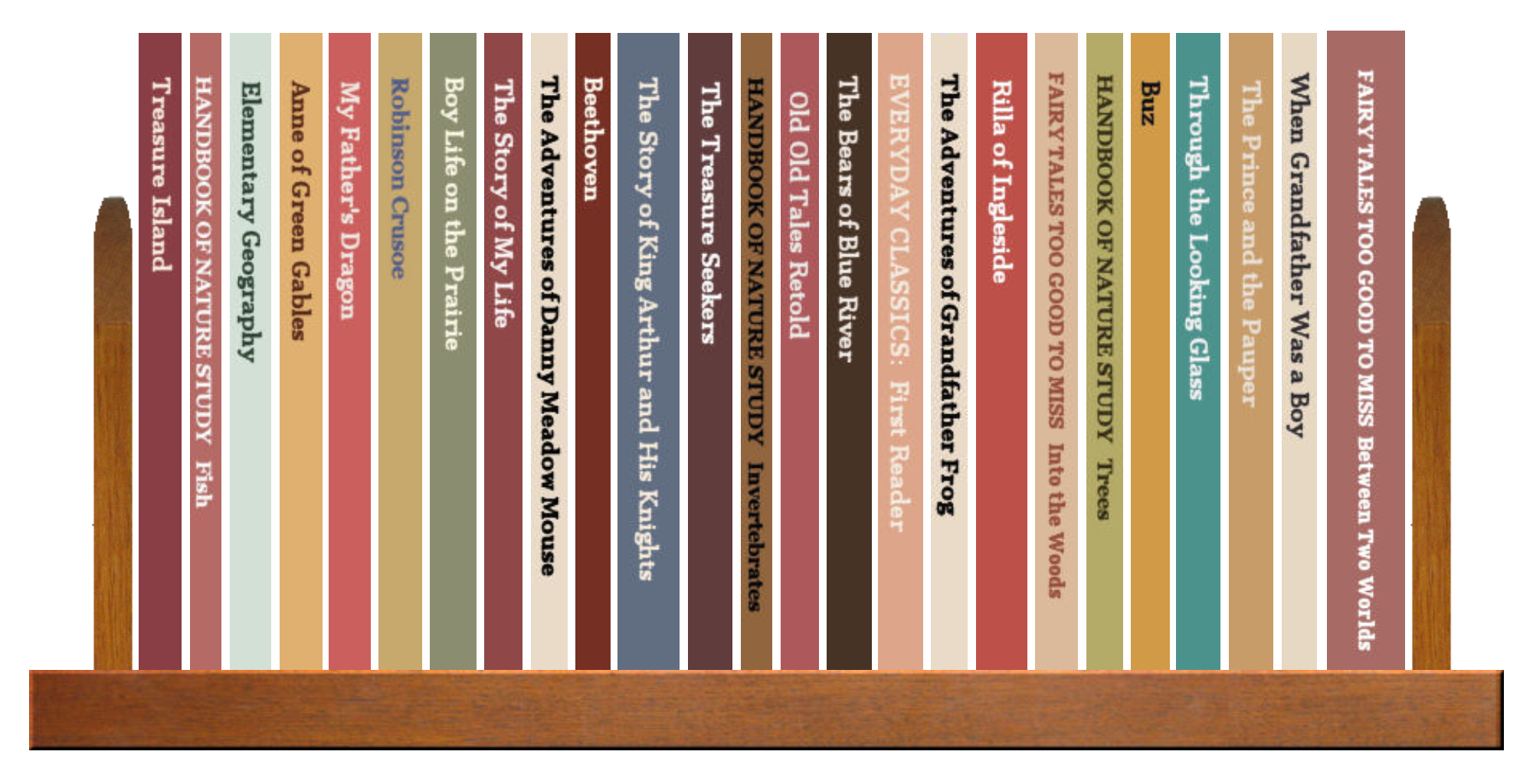 Full Shelf of Books, 3 of 4