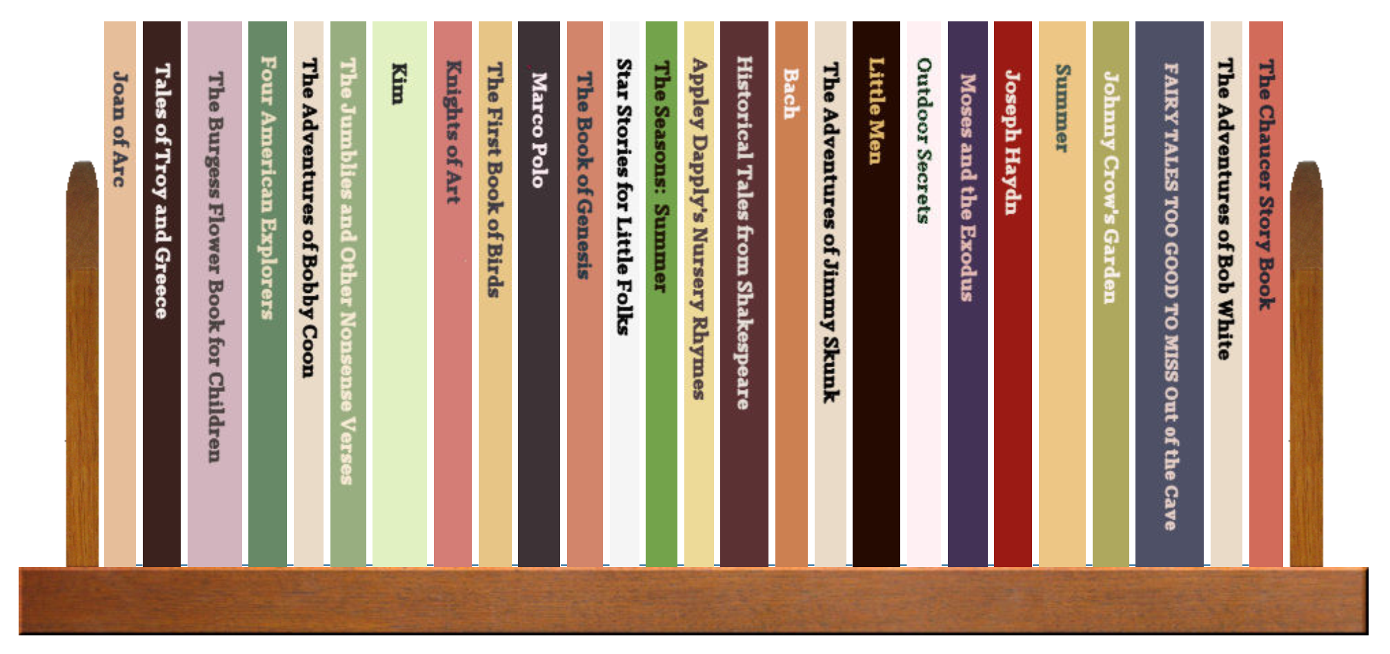 Full Shelf of Books, 2 of 4