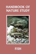 Cover of comstock_fish