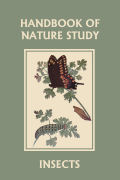 Cover of comstock_insects