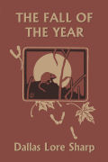 Cover of sharp_fall