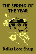 Cover of sharp_spring
