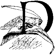 dropcap image